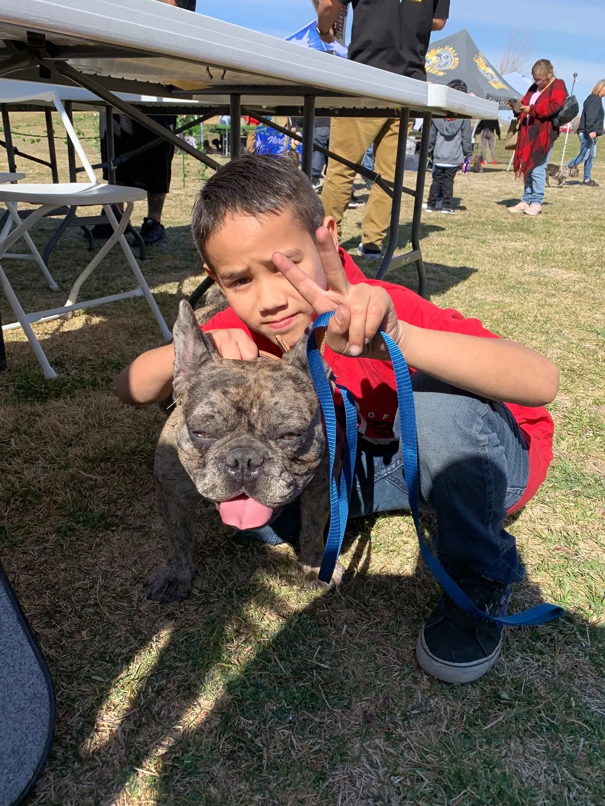 Lost dog in Modesto, CA, 95358