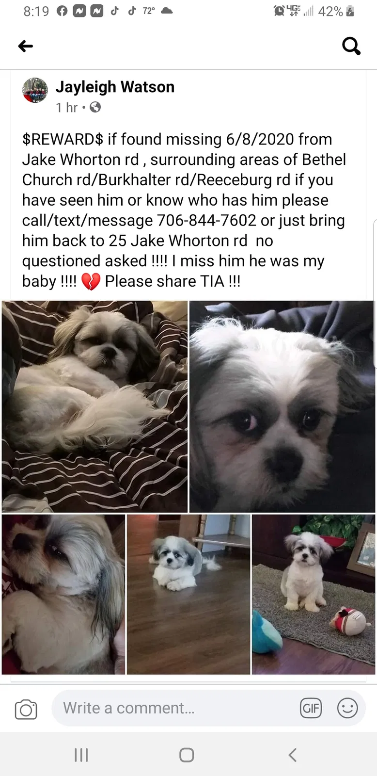 Lost dog in Silver Creek, GA, 30173