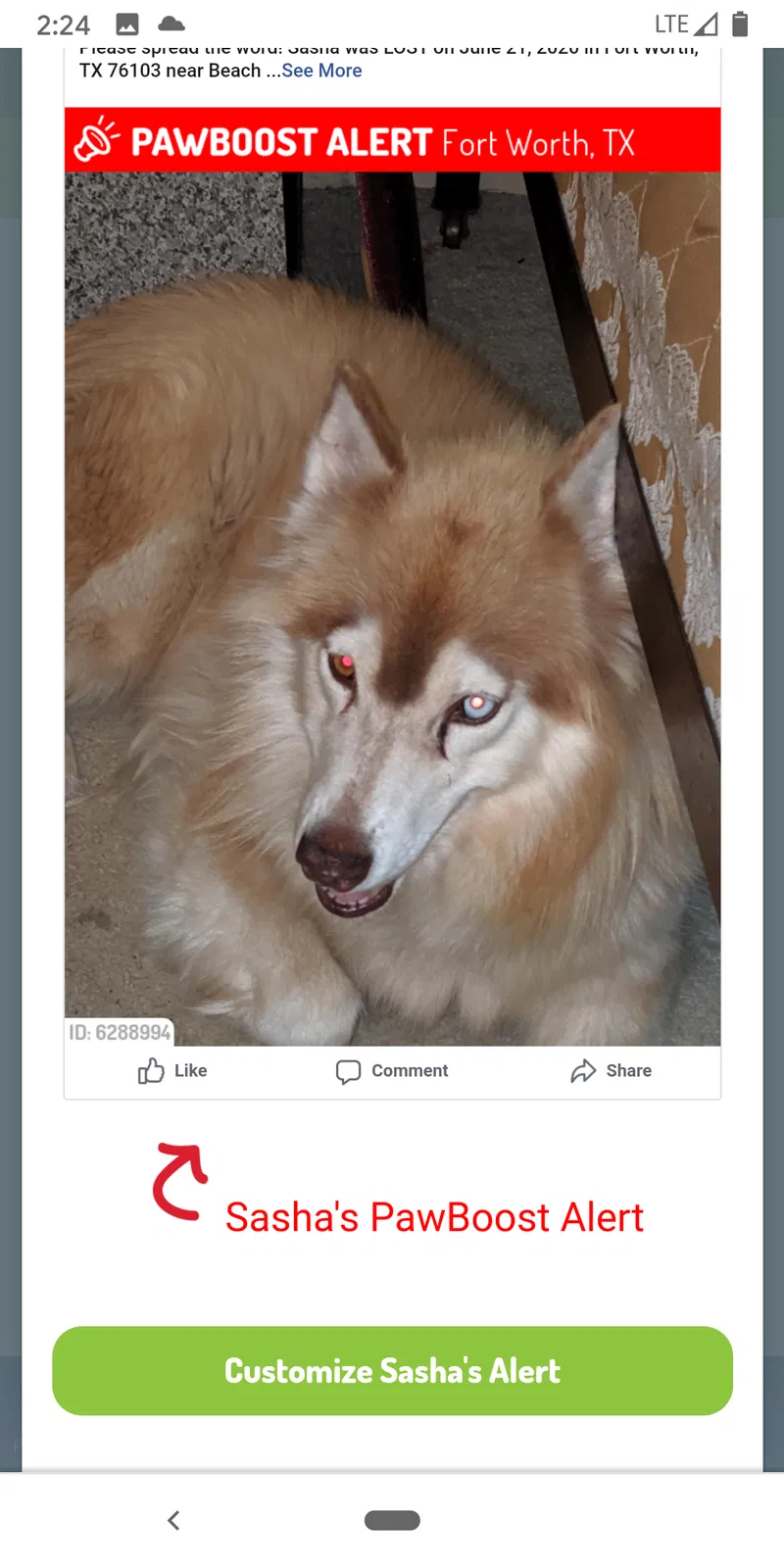 Lost dog in Fort Worth, TX, 76112
