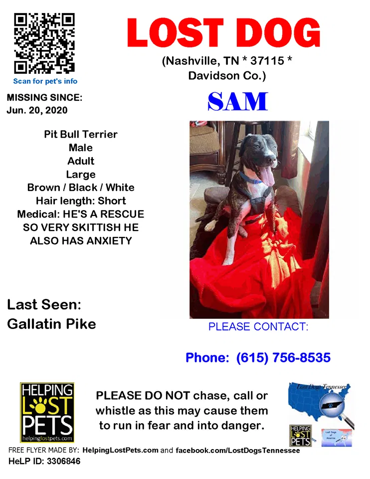 Lost dog in Madison, TN, 37115