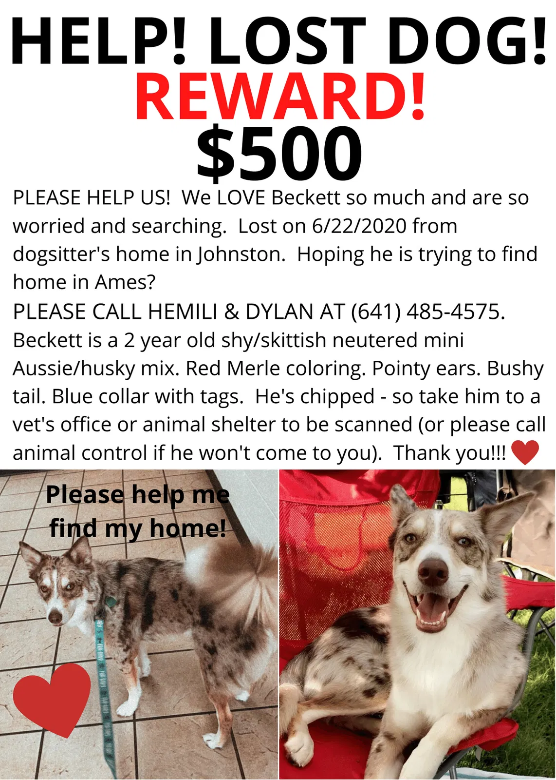 Lost dog in Johnston, IA, 50131