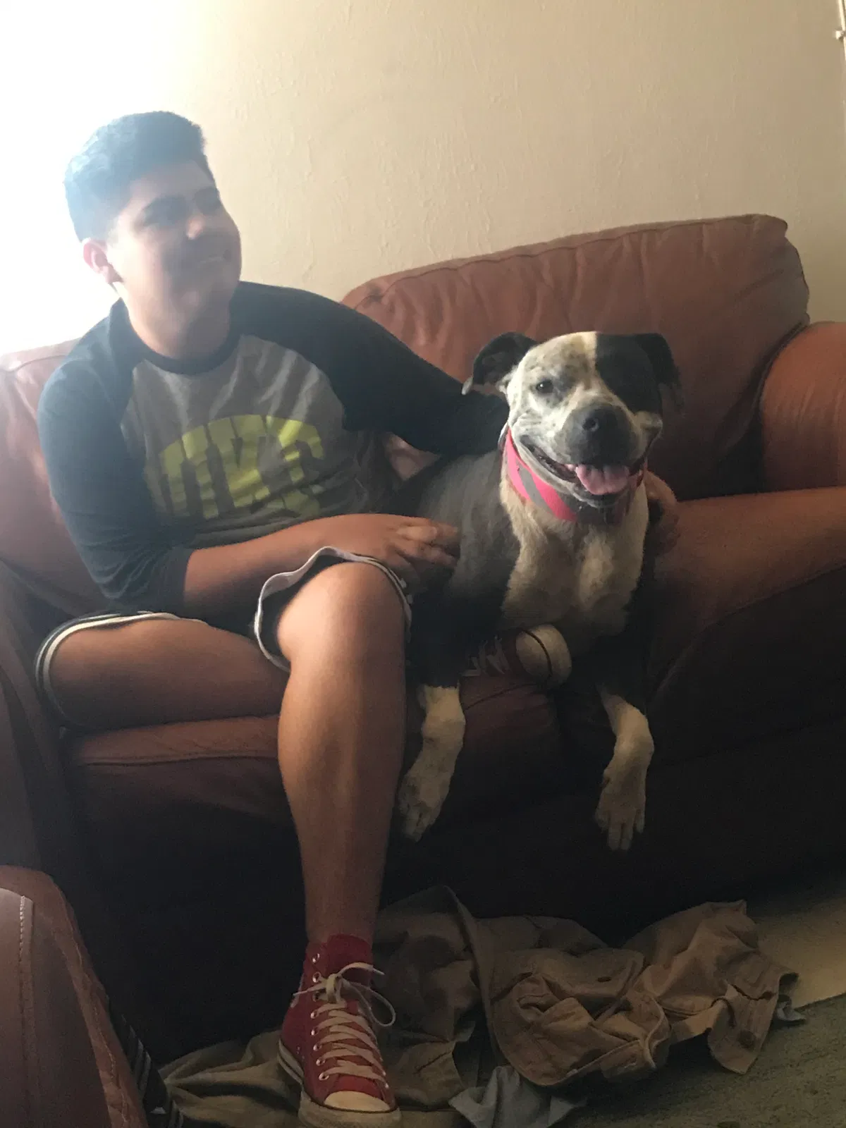 Lost dog in Phoenix, AZ, 85033