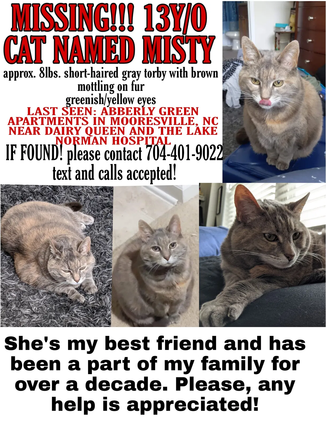 Lost cat in Mooresville, NC, 28117