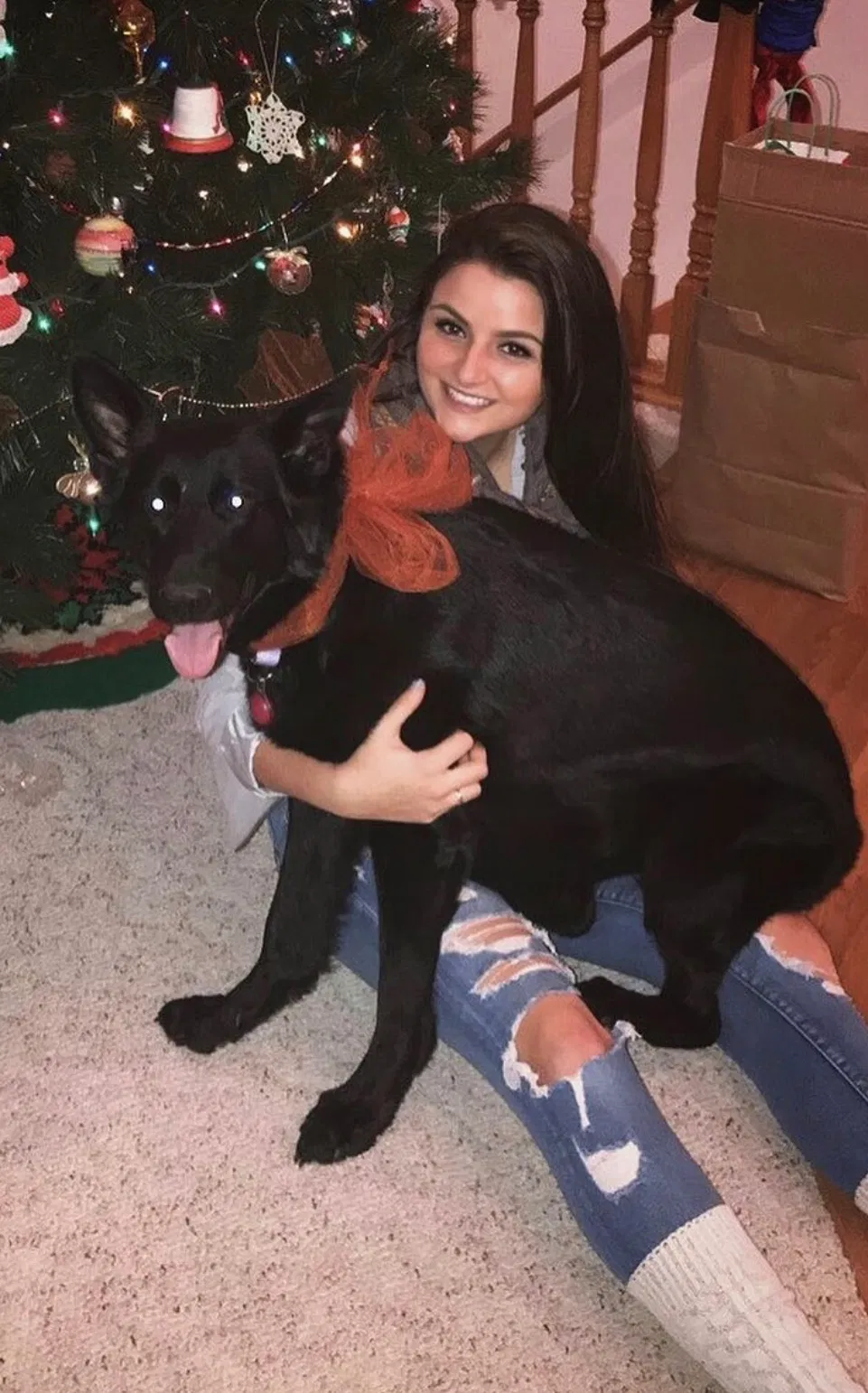 Lost dog in Grand Rapids, MI, 49503