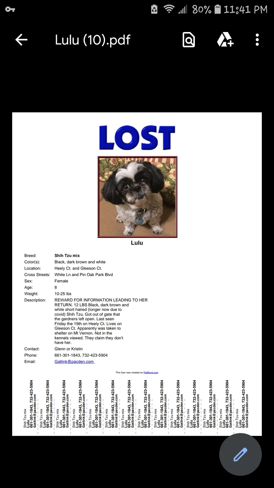 Lost dog in Bakersfield, CA, 93311