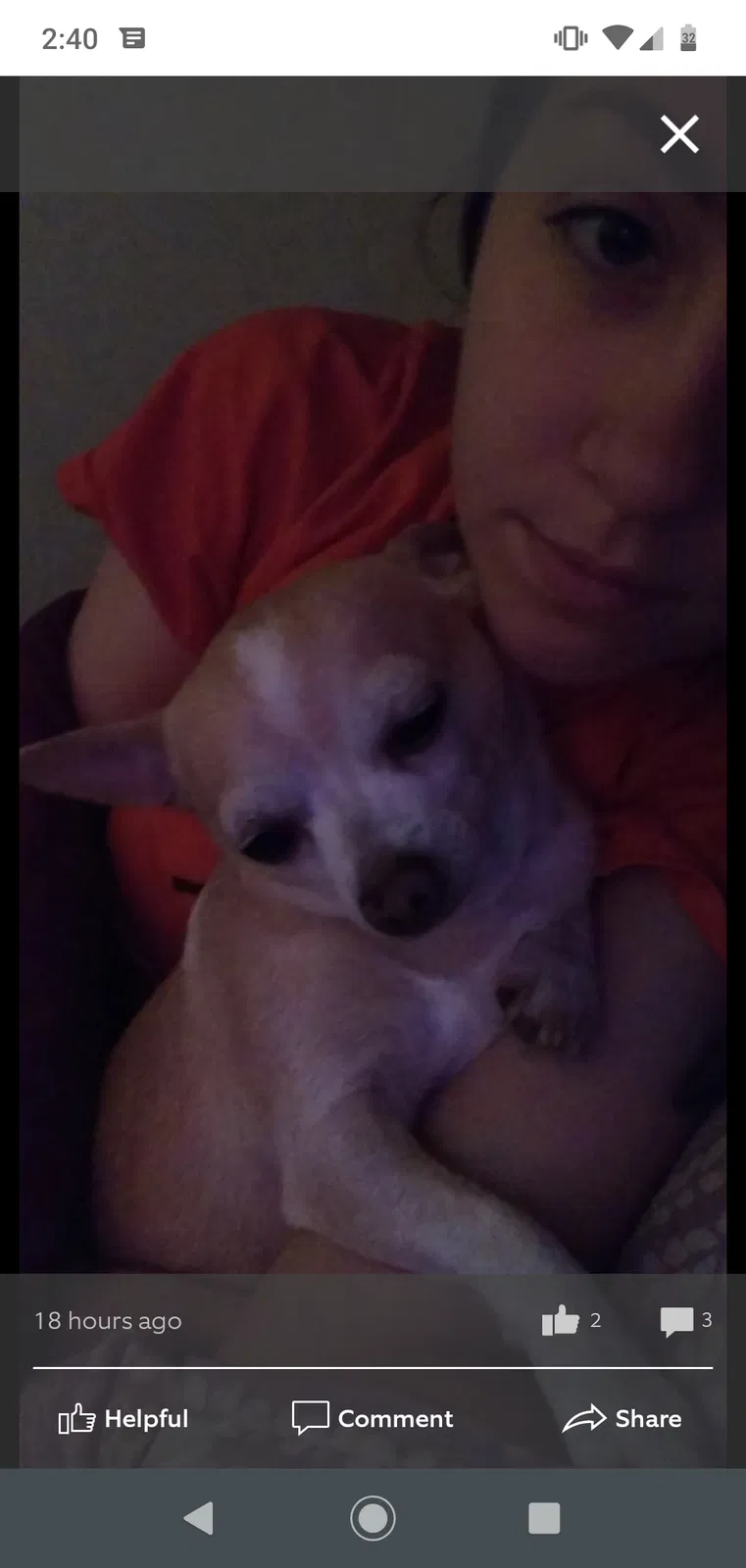 Lost dog in Enid, OK, 73703