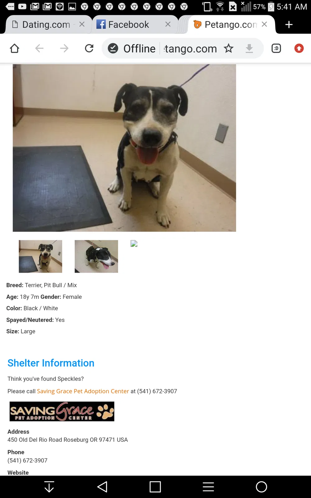 Lost dog in Roseburg, OR, 97470