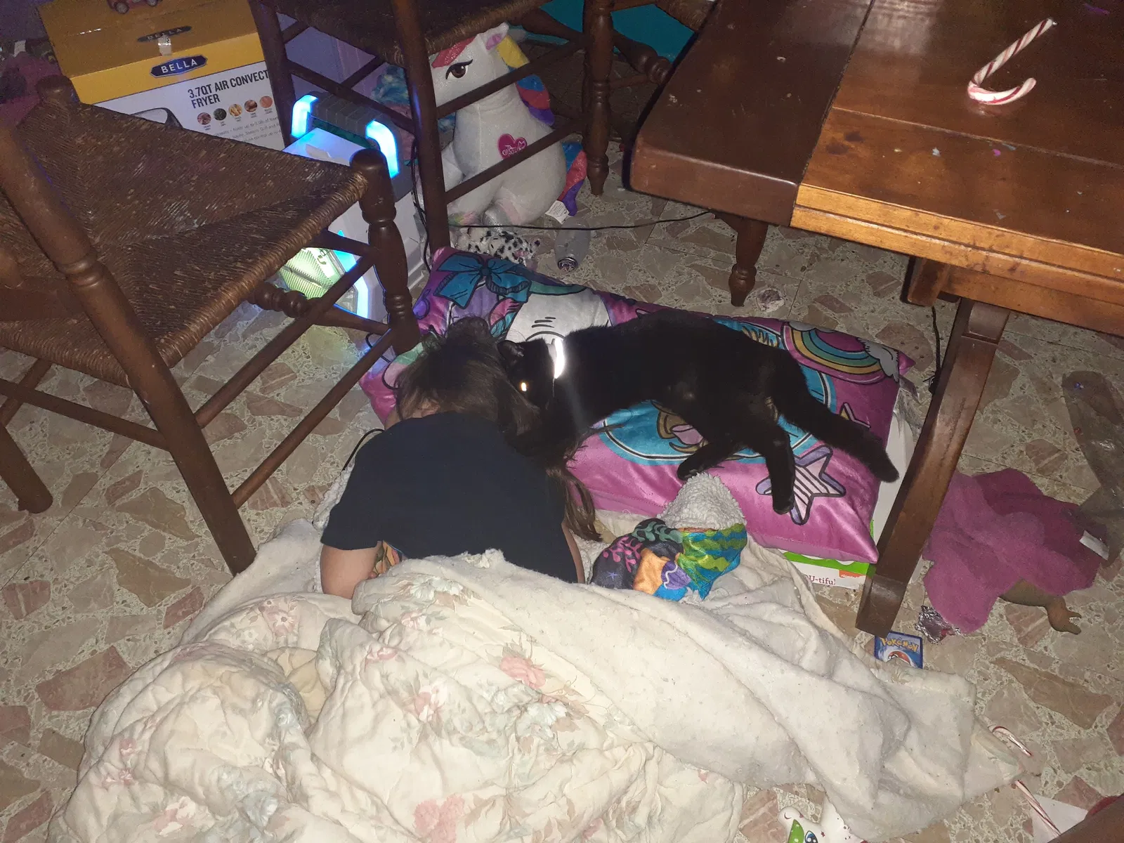 Lost cat in Rosedale, MD, 21237