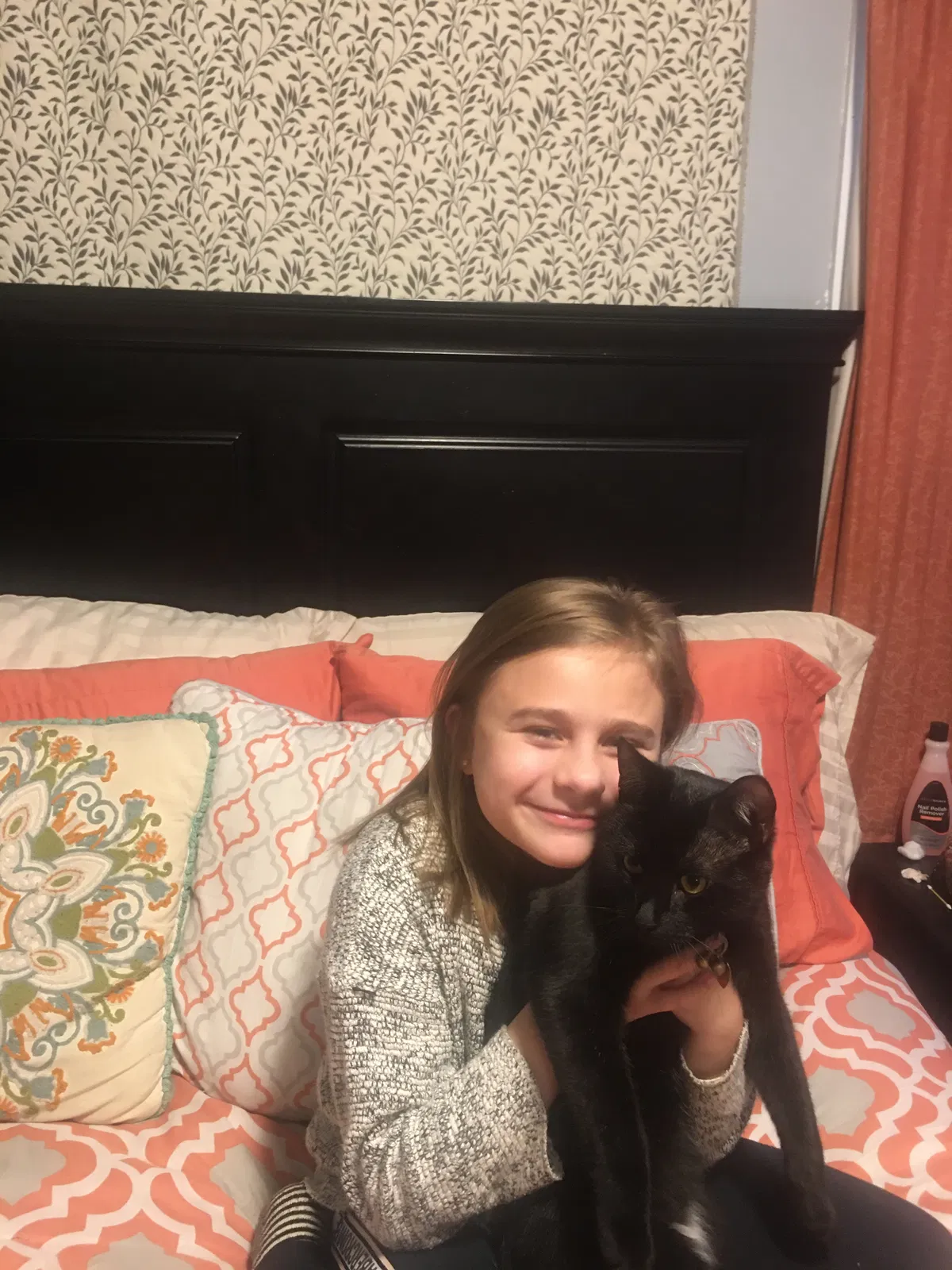 Lost cat in Framingham, MA, 1702