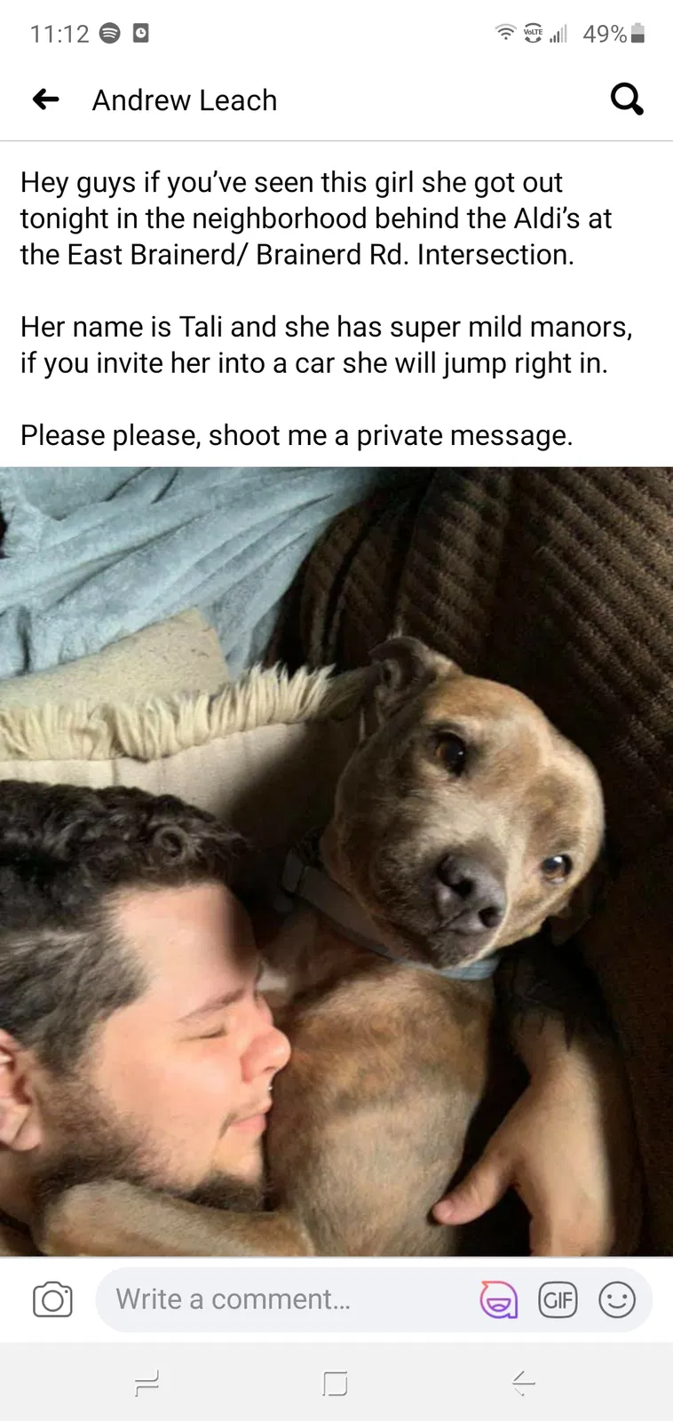 Lost dog in Chattanooga, TN, 37421