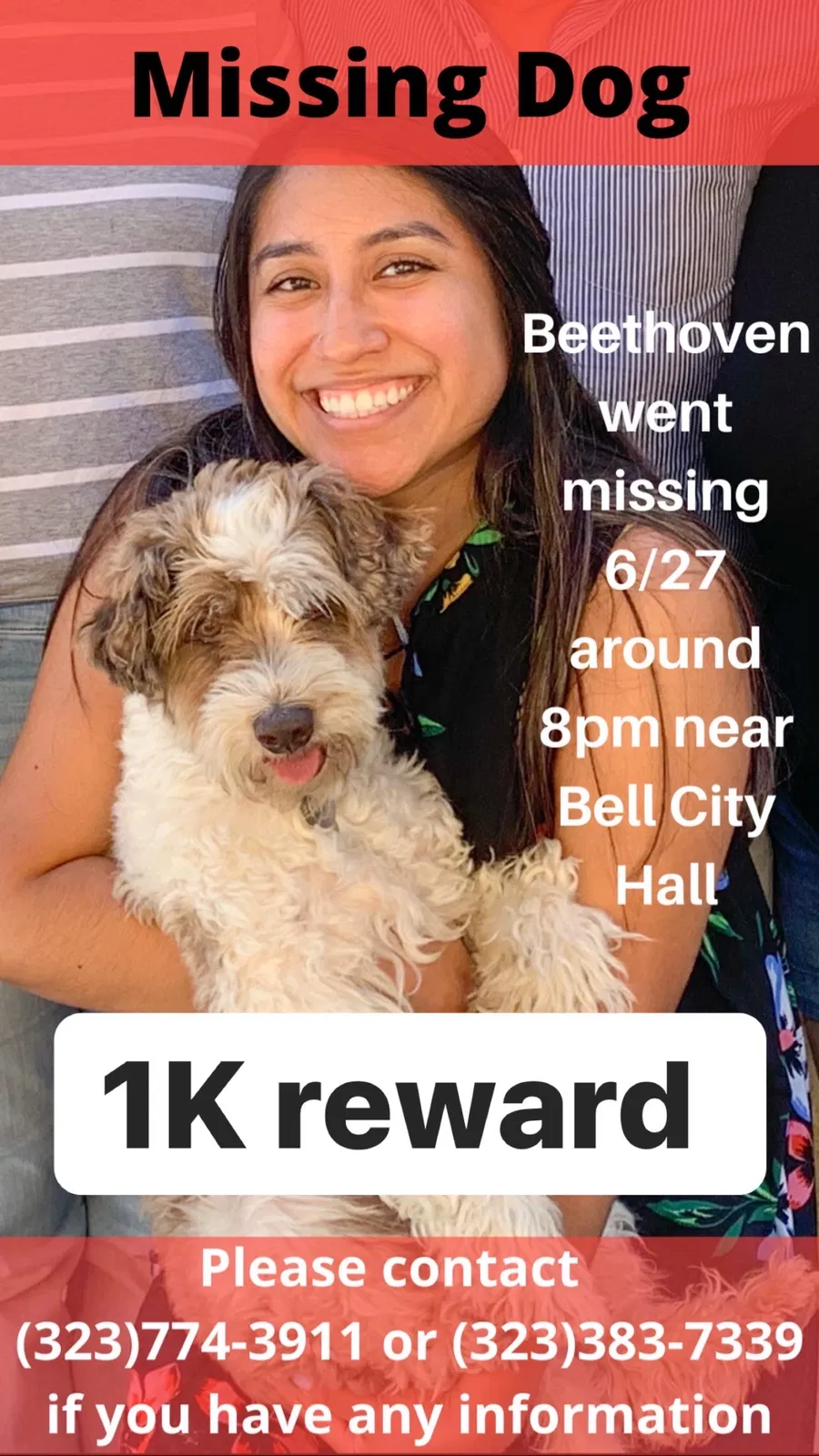 Lost dog in Bell Gardens, CA, 90201