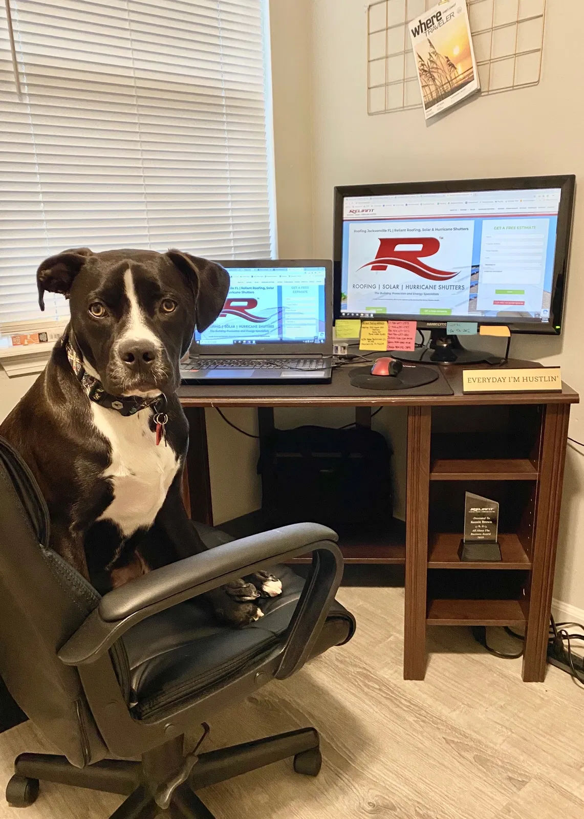 Lost dog in Jacksonville, FL, 32225