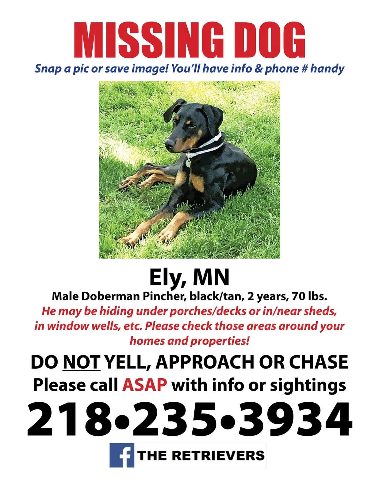 Lost dog in Ely, MN, 55731