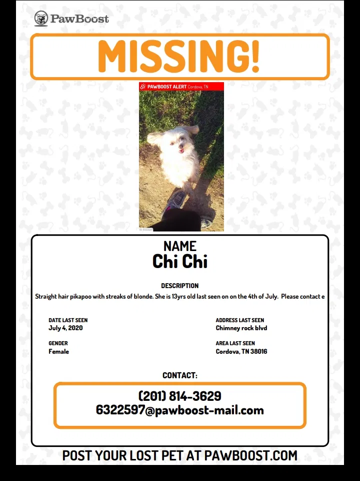 Lost dog in Cordova, TN, 38016