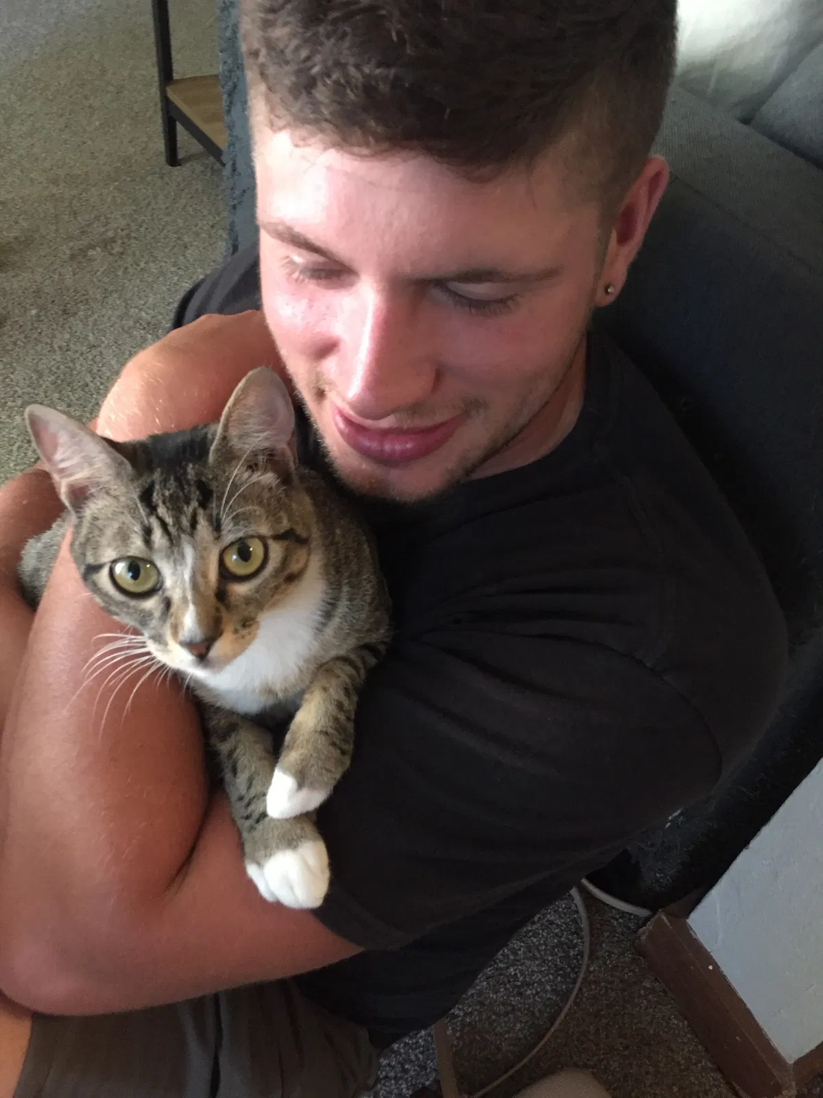 Lost cat in Grand Rapids, MI, 49508