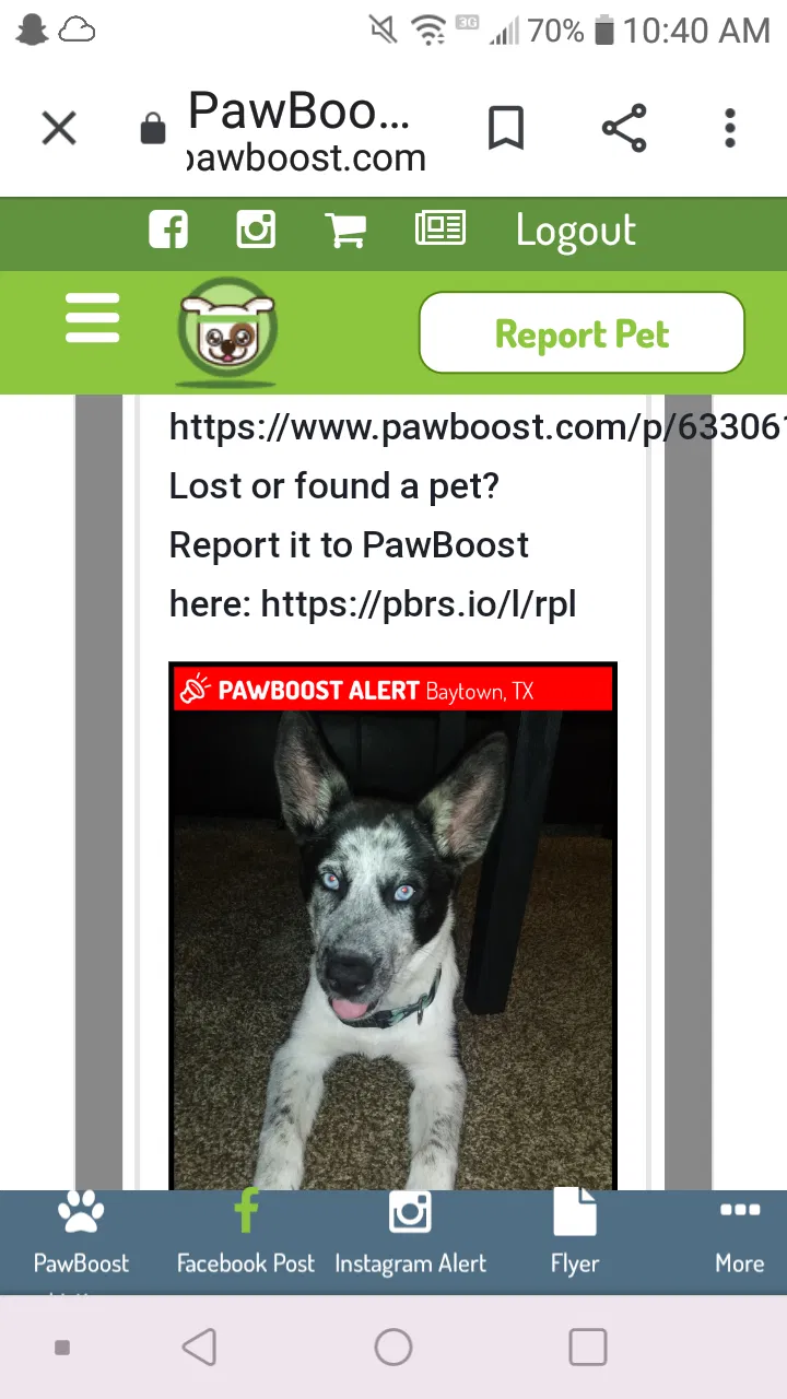 Lost dog in Baytown, TX, 77520