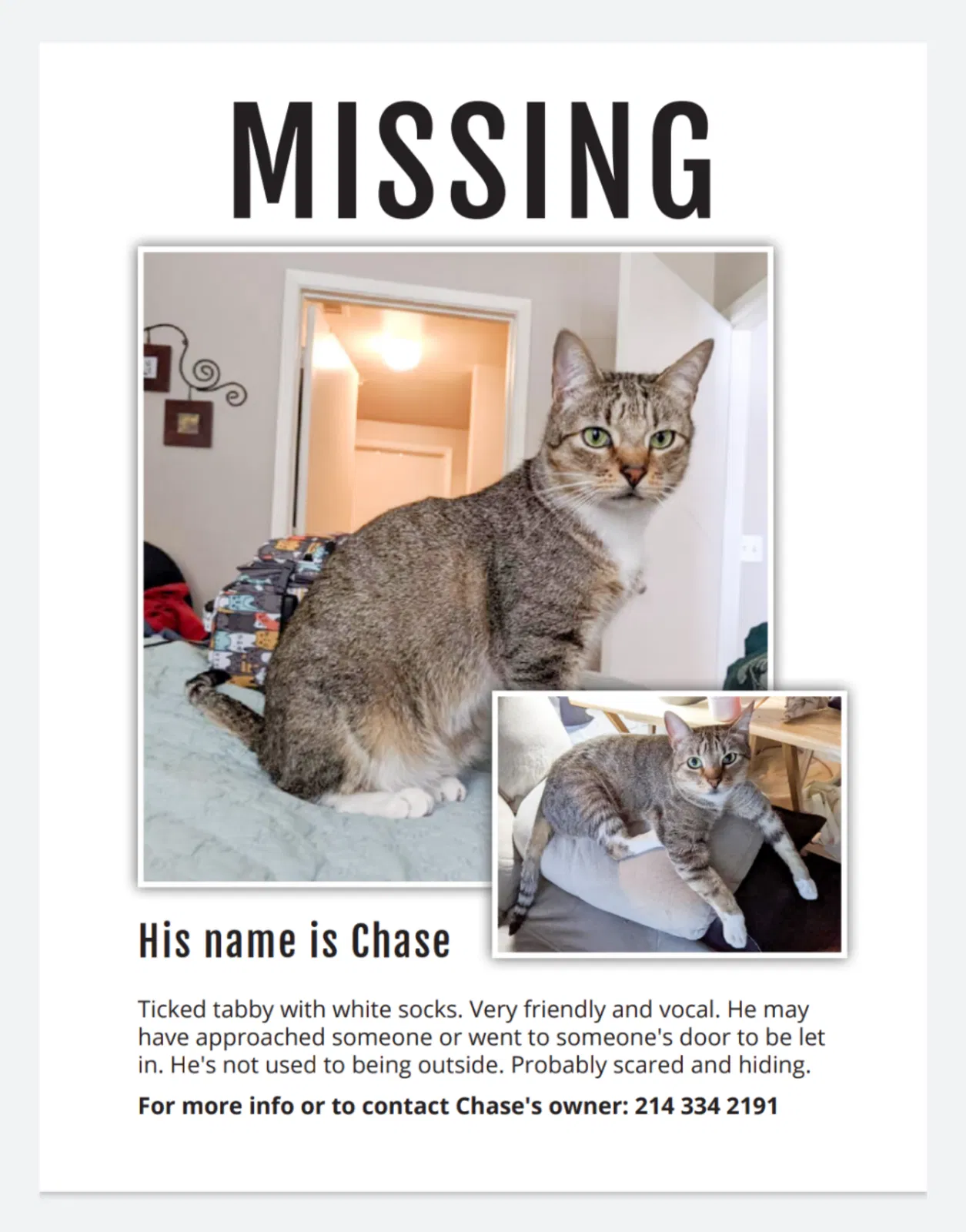 Lost cat in Wylie, TX, 75098