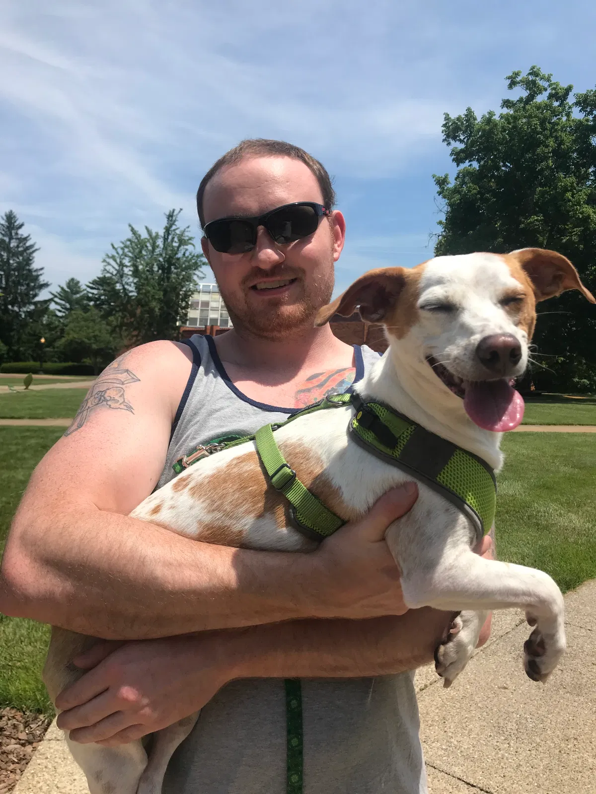 Lost dog in Uniontown, OH, 44685