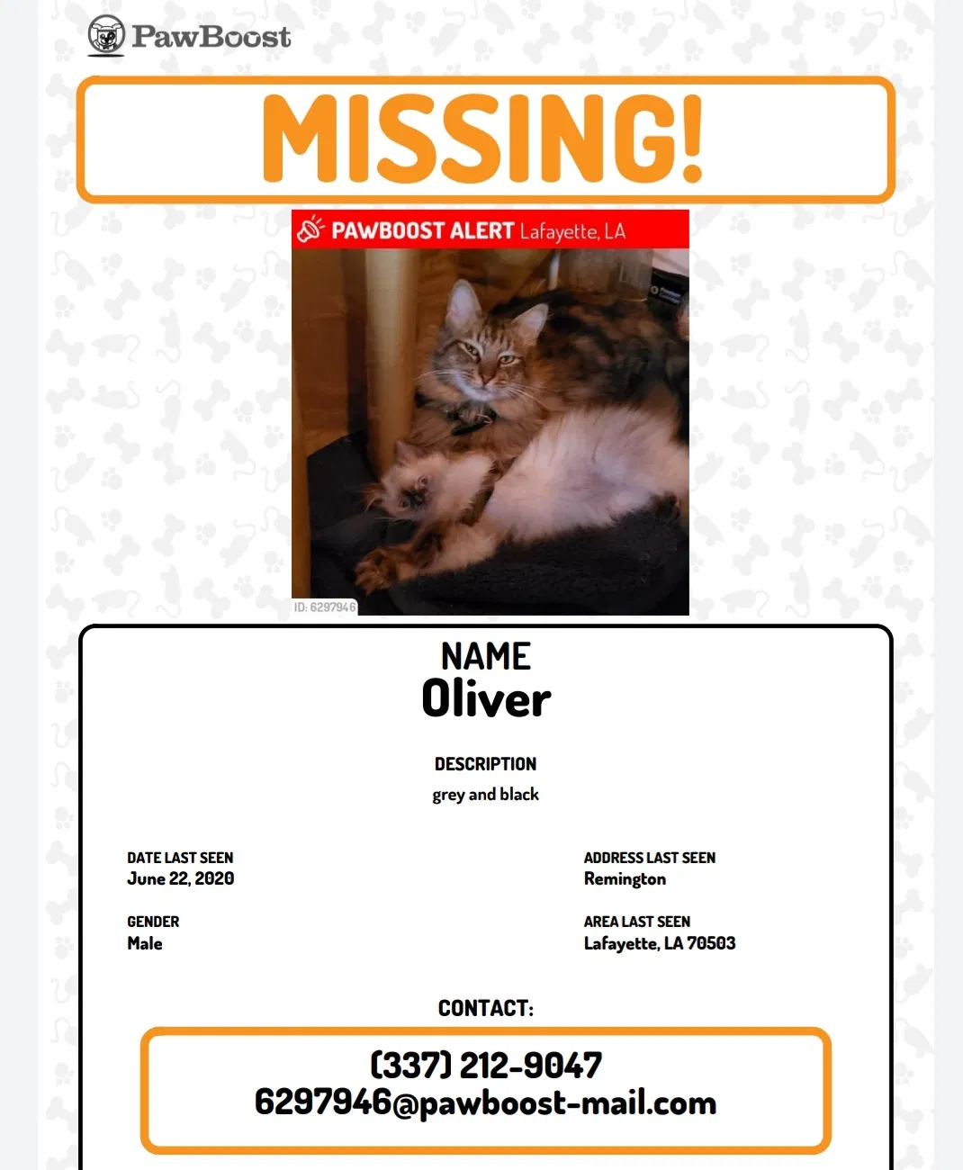 Lost cat in Lafayette, LA, 70503