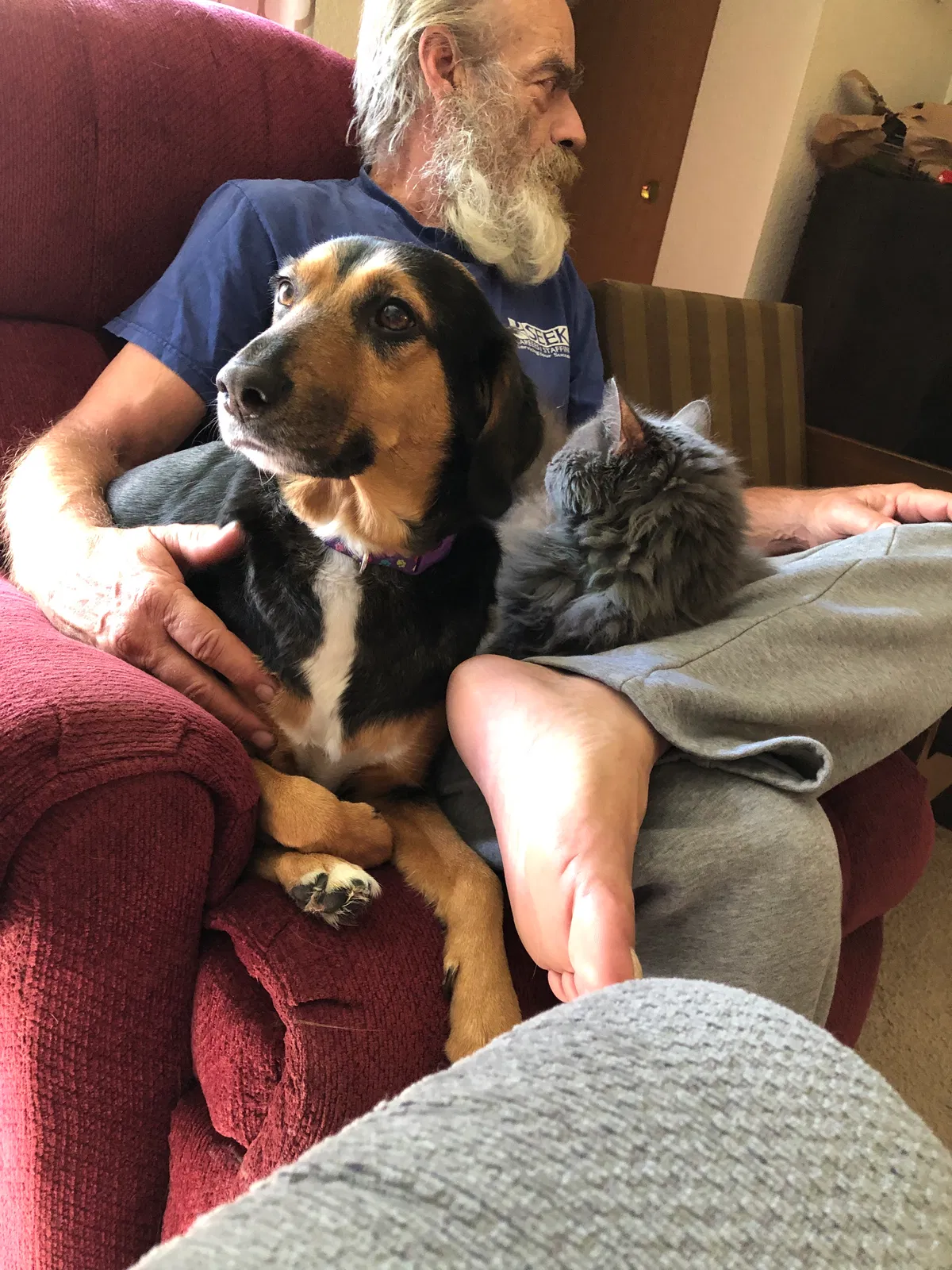 Lost dog in Waupun, WI, 53963