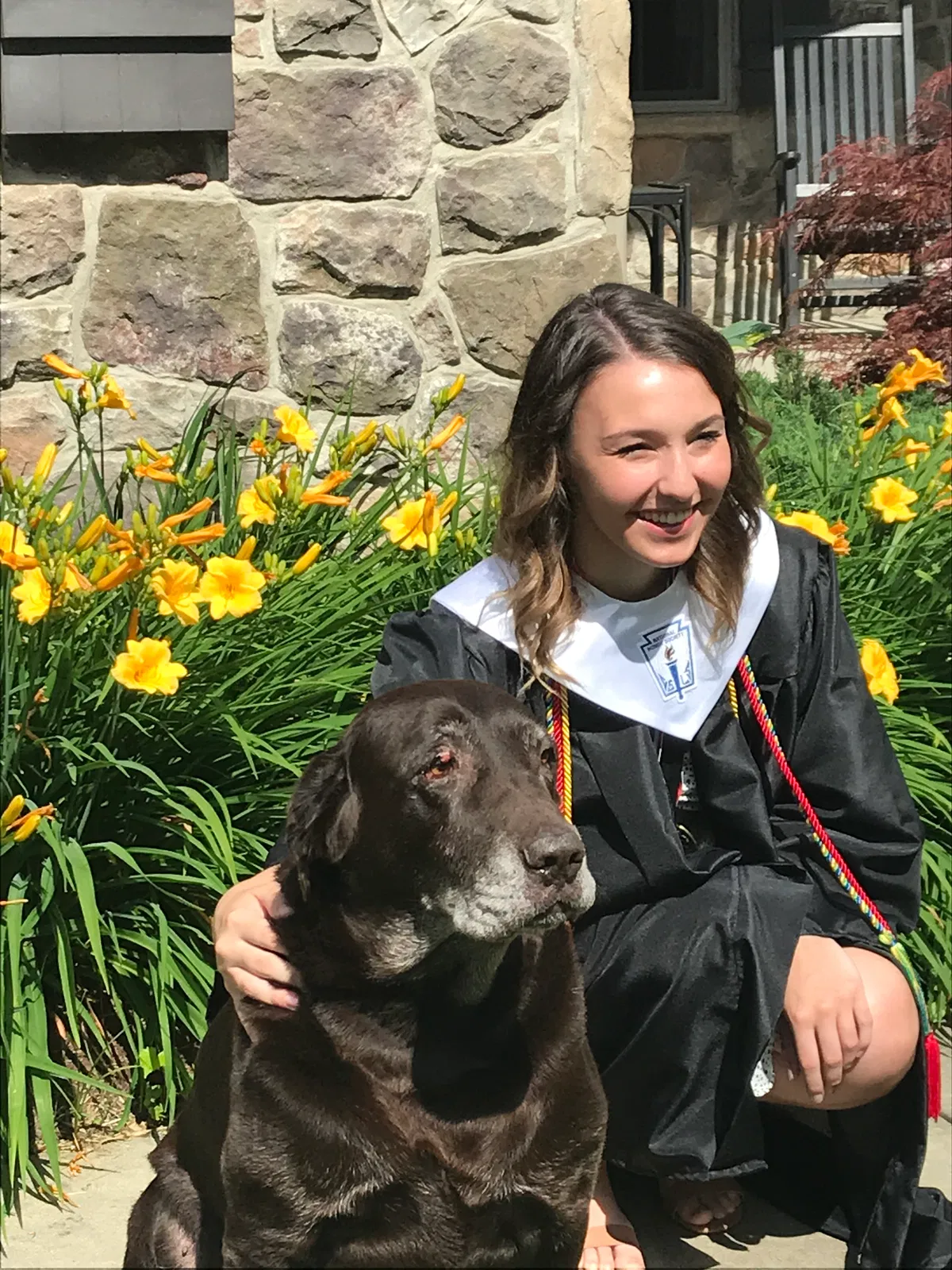 Lost dog in Lehighton, PA, 18235