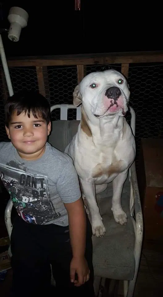 Lost dog in Tallassee, AL, 36078