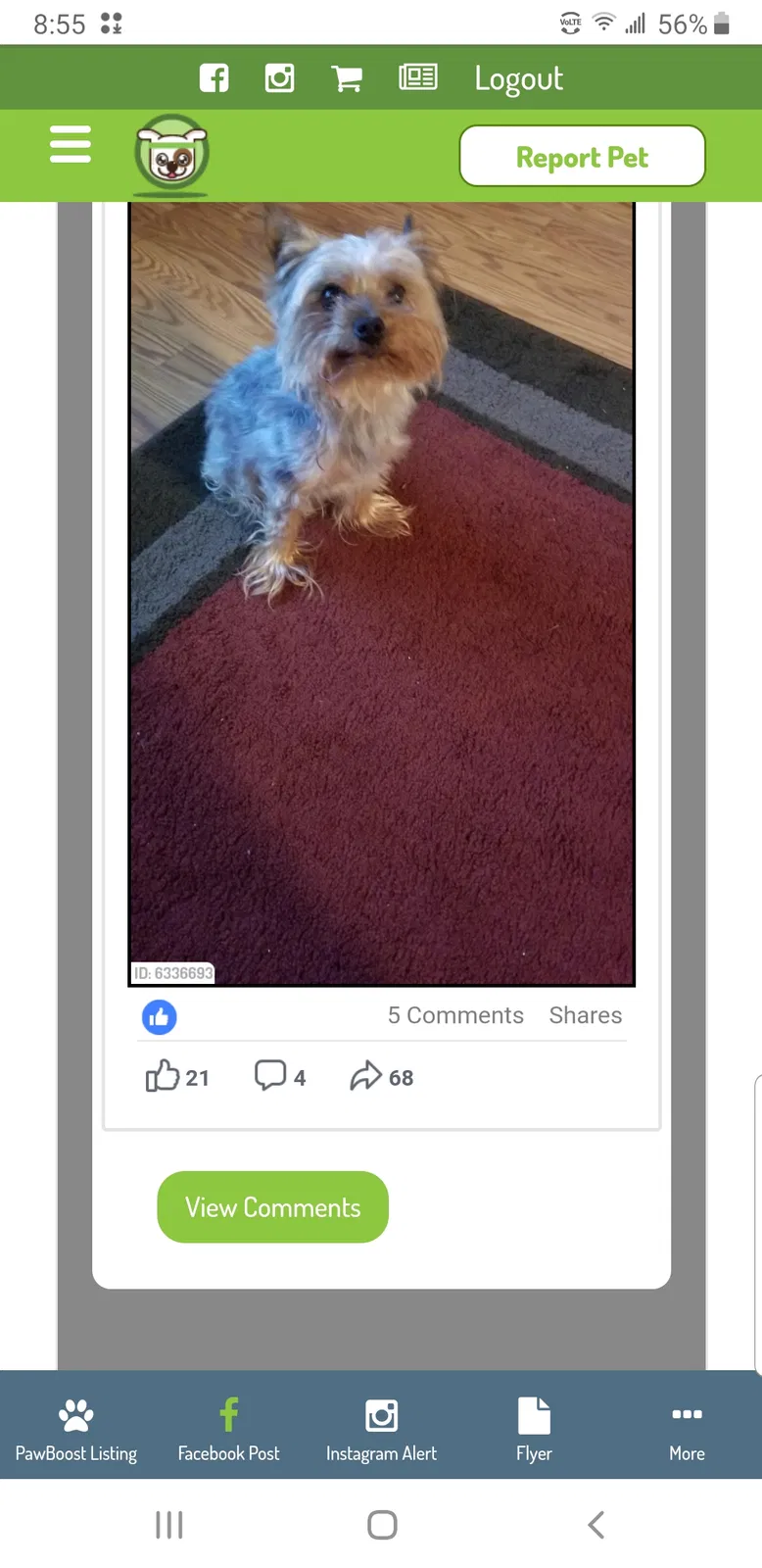 Lost dog in Hope Mills, NC, 28348