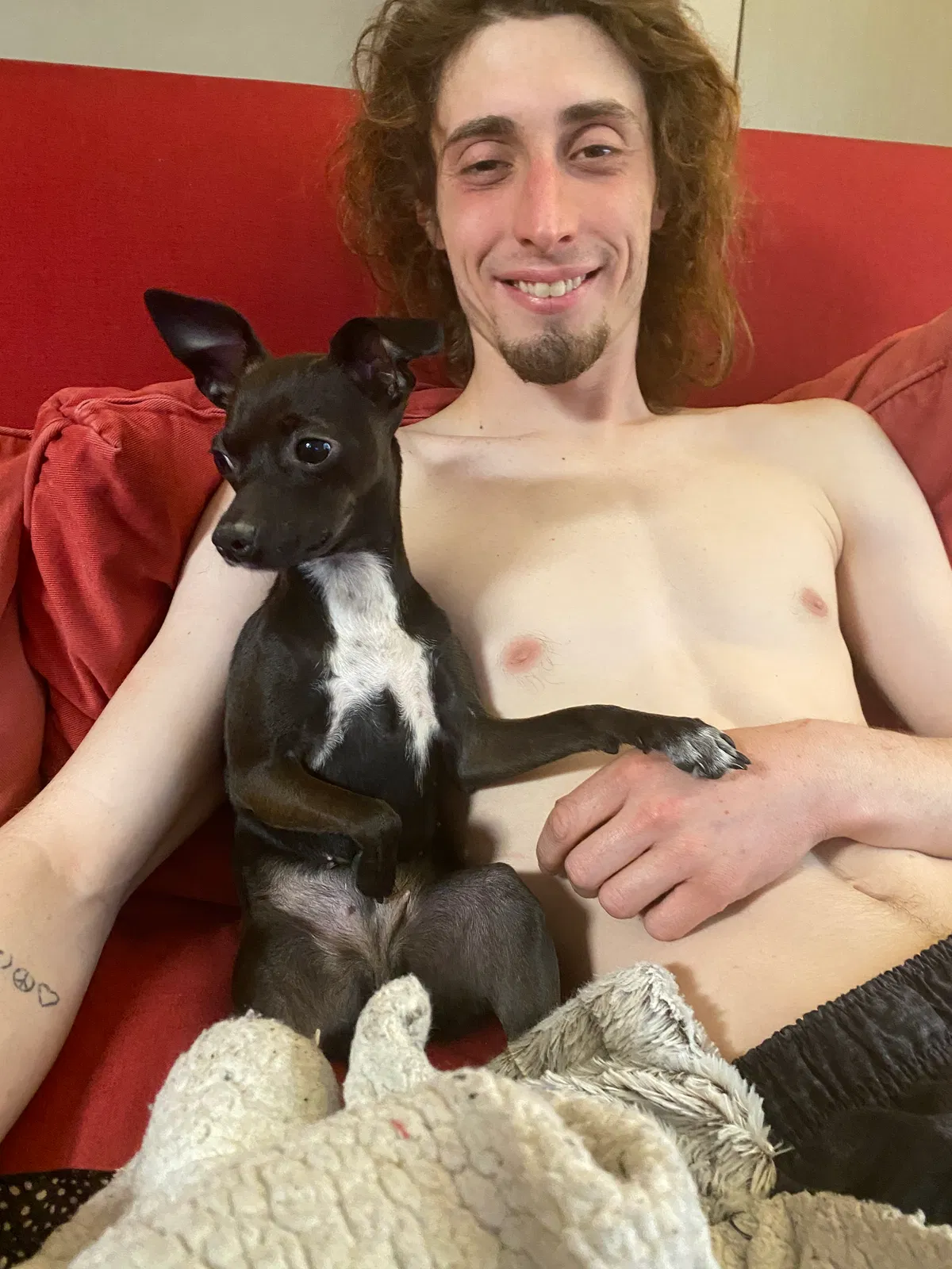 Lost dog in Indianapolis, IN, 46226