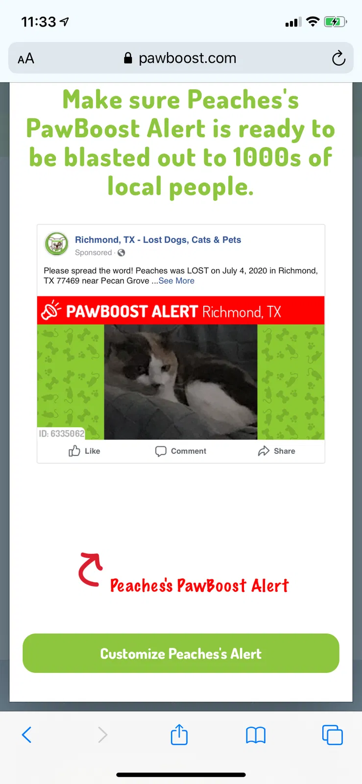 Lost cat in Richmond, TX, 77406