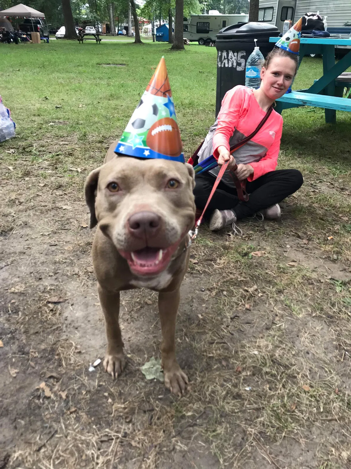 Lost dog in Plymouth, IN, 46563