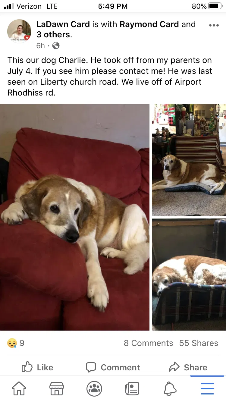 Lost dog in Hickory, NC, 28601
