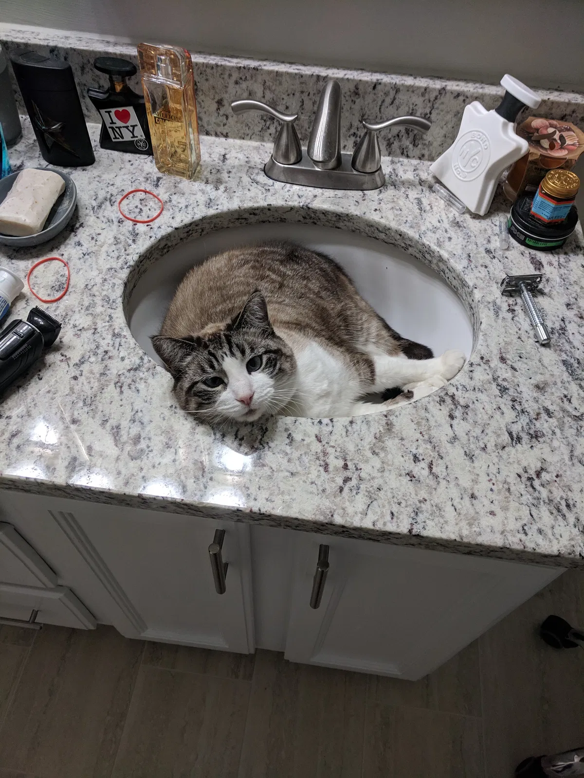 Lost cat in Durham, NC, 27707