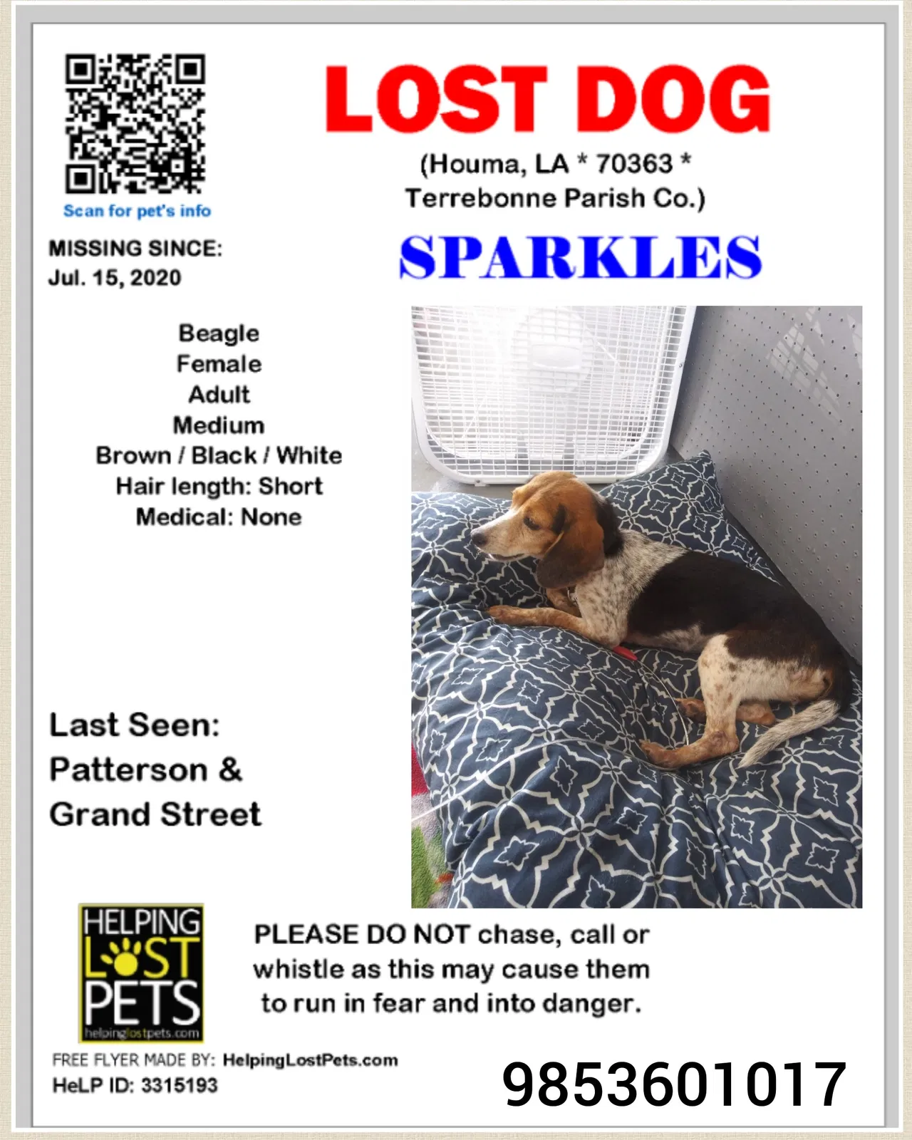 Lost dog in Houma, LA, 70363