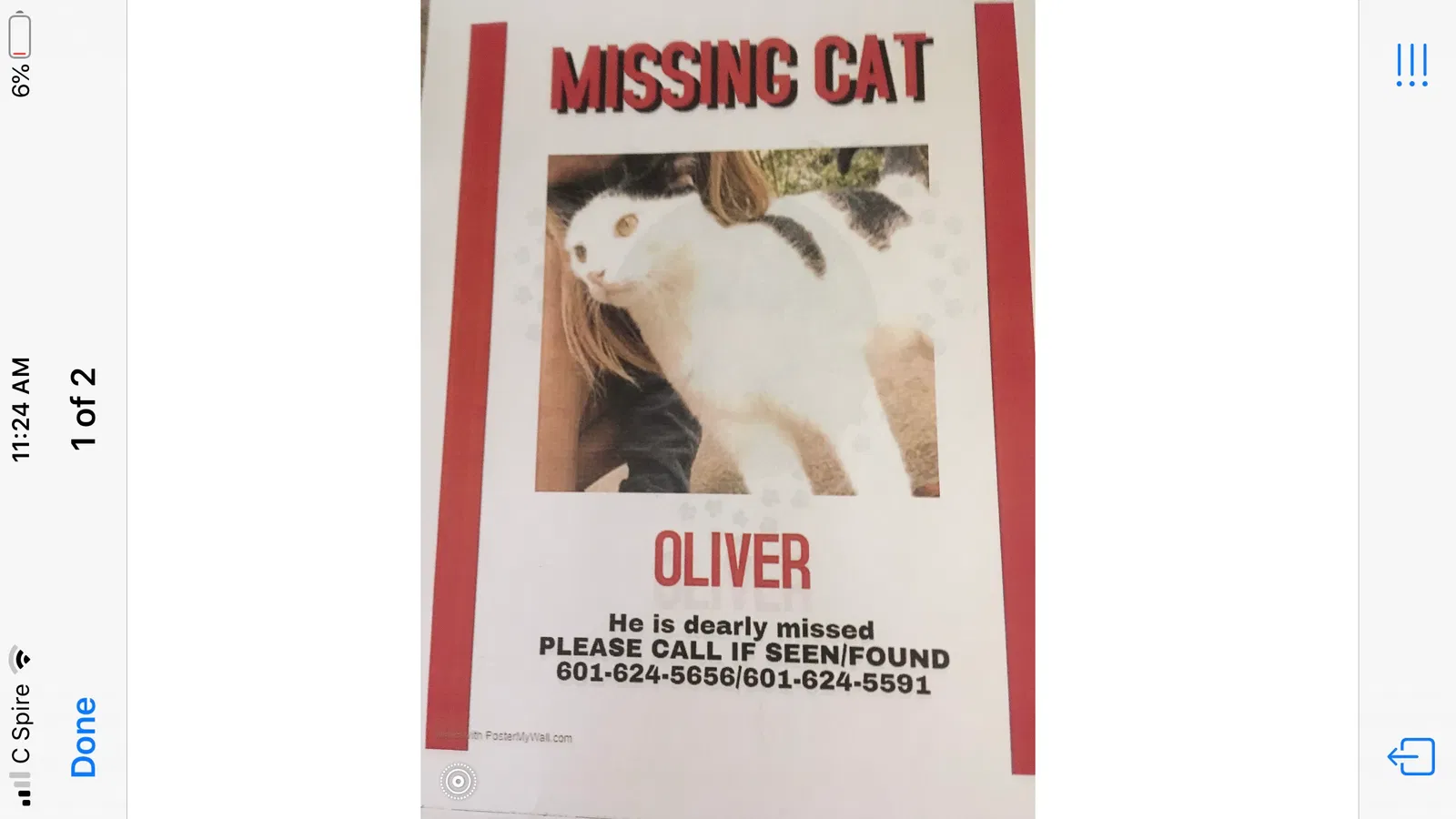 Lost cat in Jackson, MS, 39211