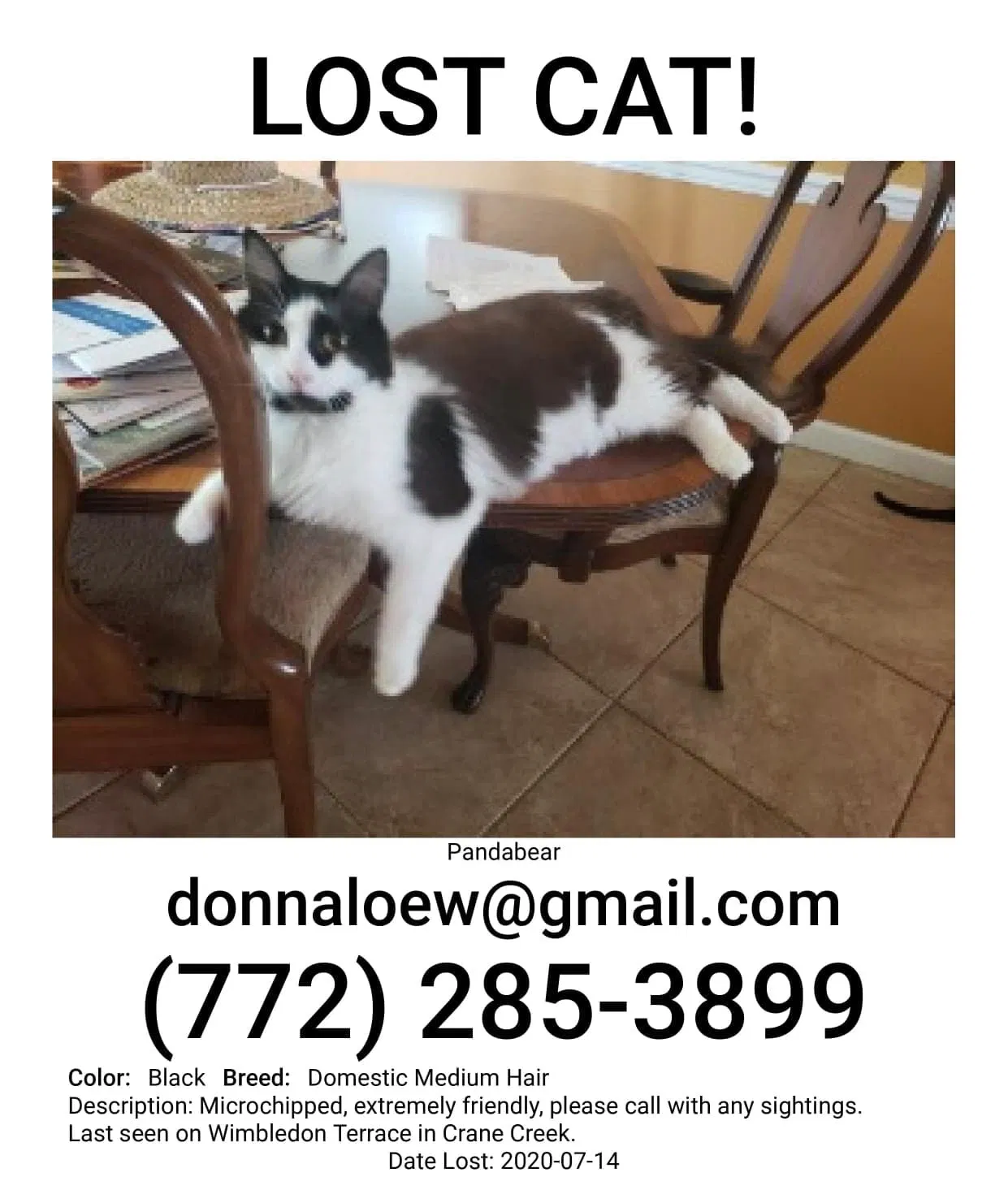 Lost cat in Palm City, FL, 34990