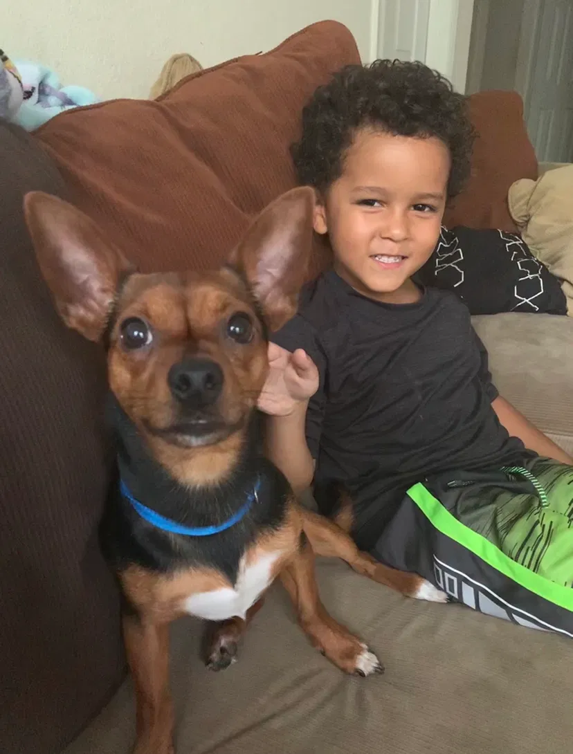 Lost dog in Orlando, FL, 32810