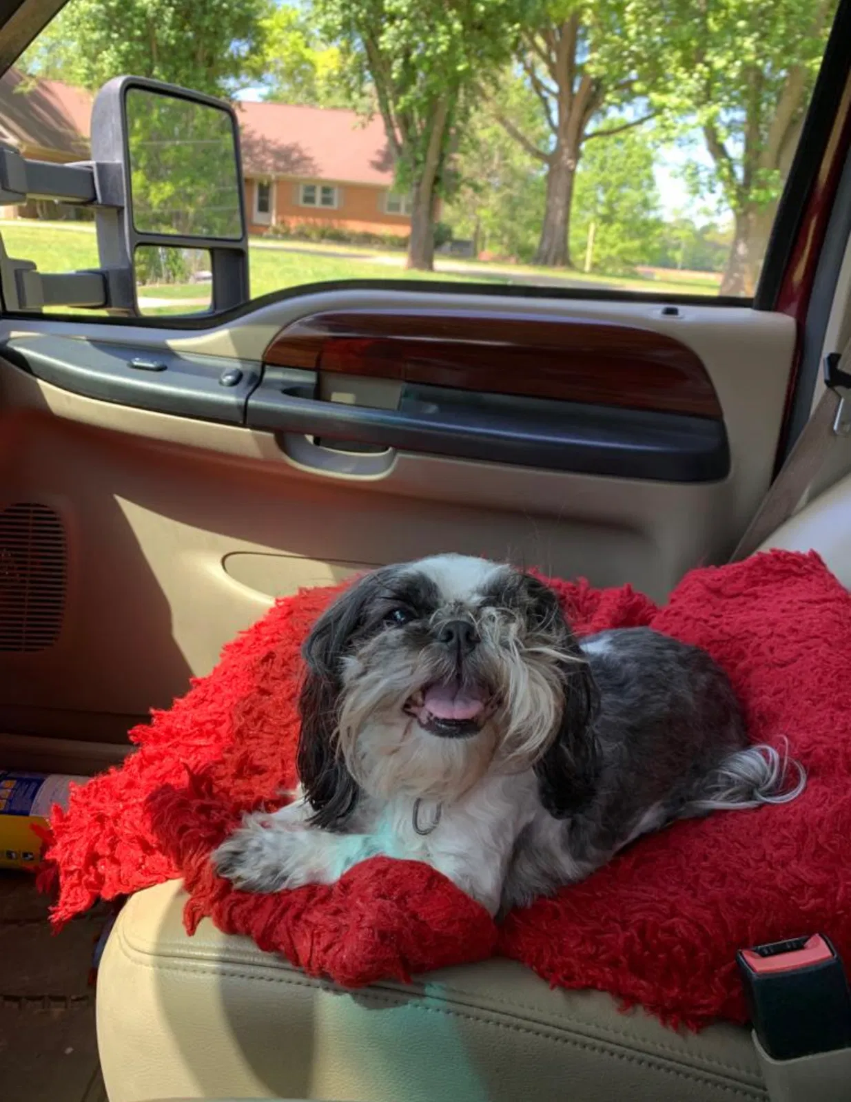 Lost dog in Wingate, NC, 28174