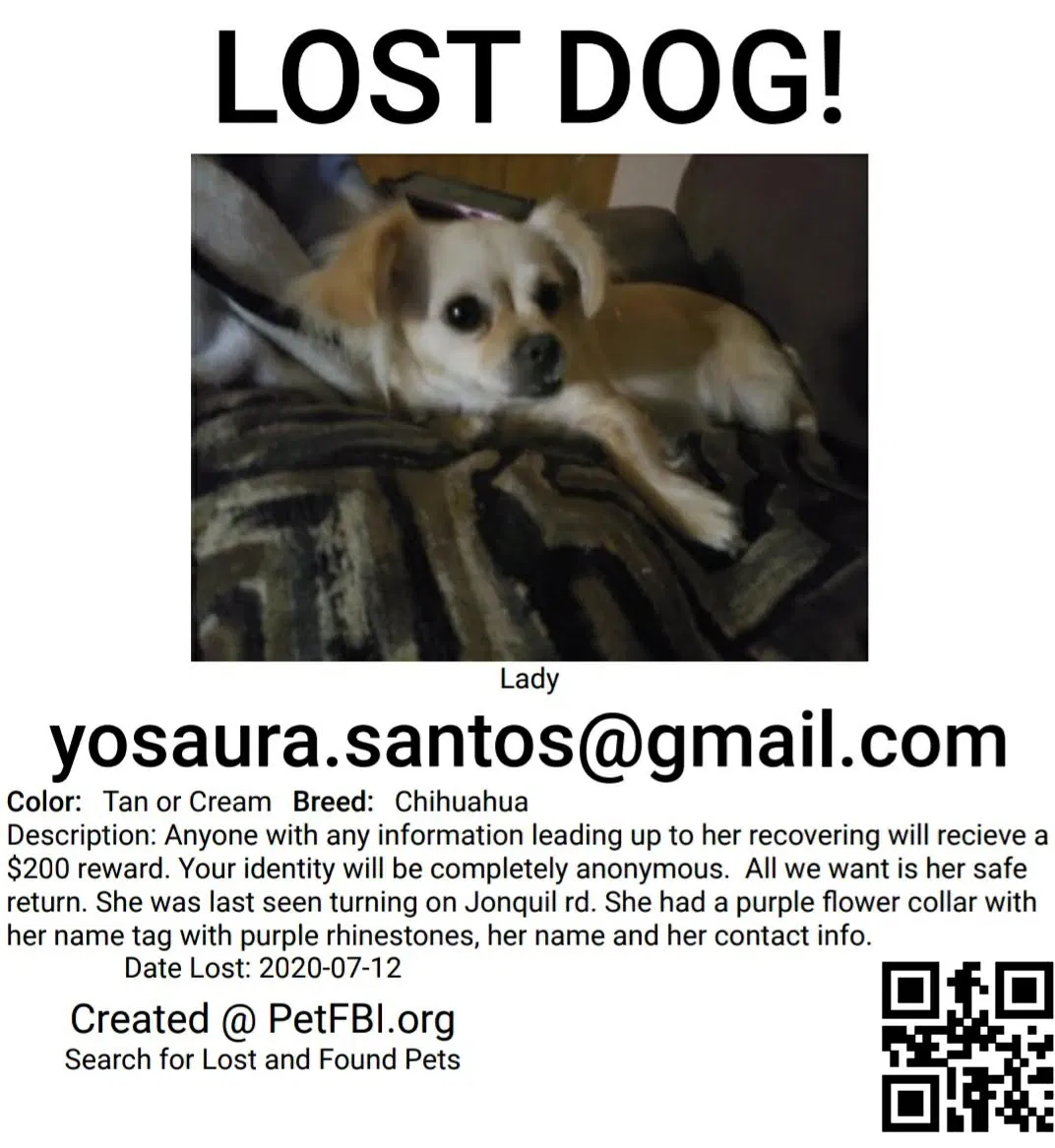 Lost dog in Reidsville, NC, 27320