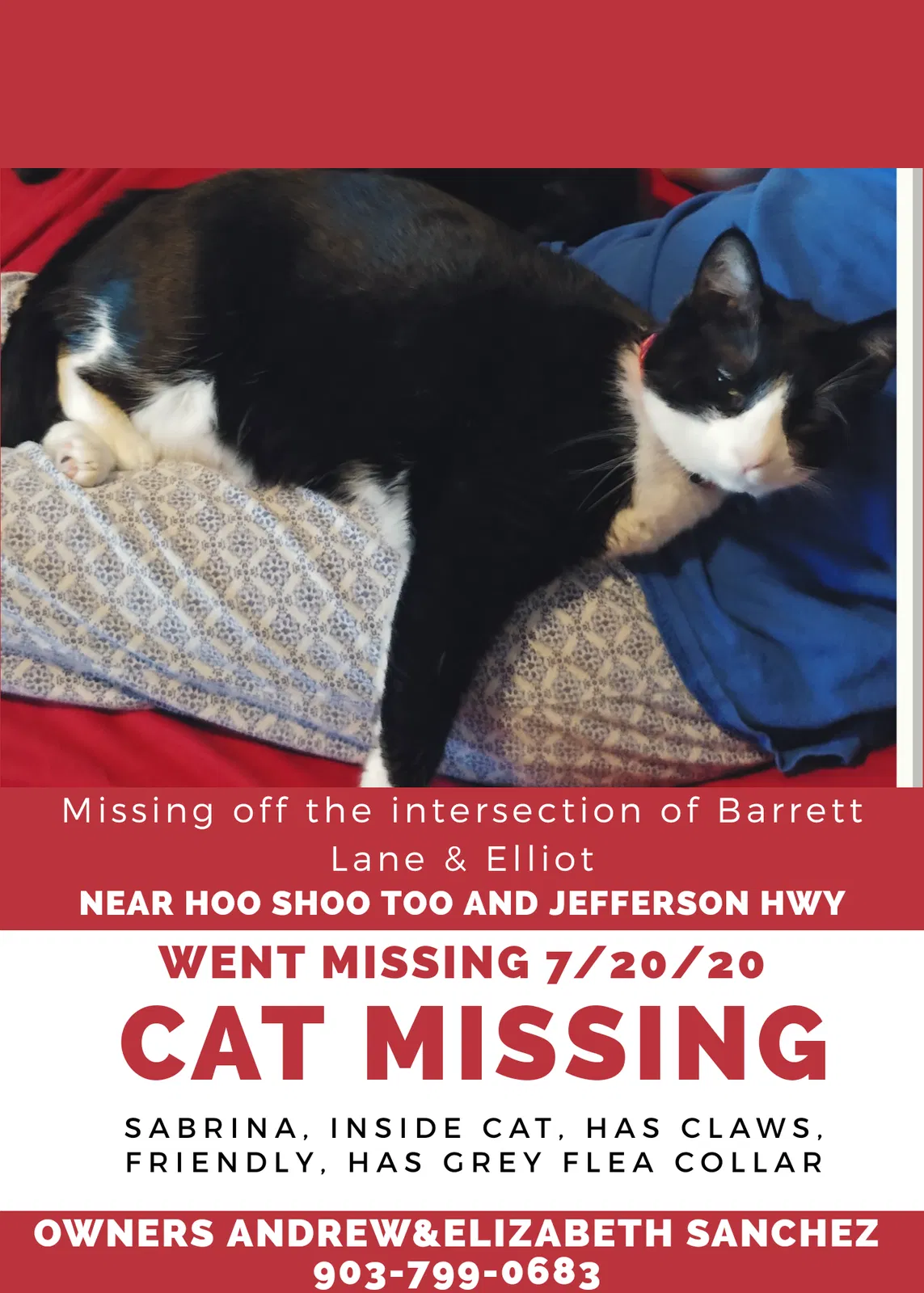 Lost cat in Baton Rouge, LA, 70817