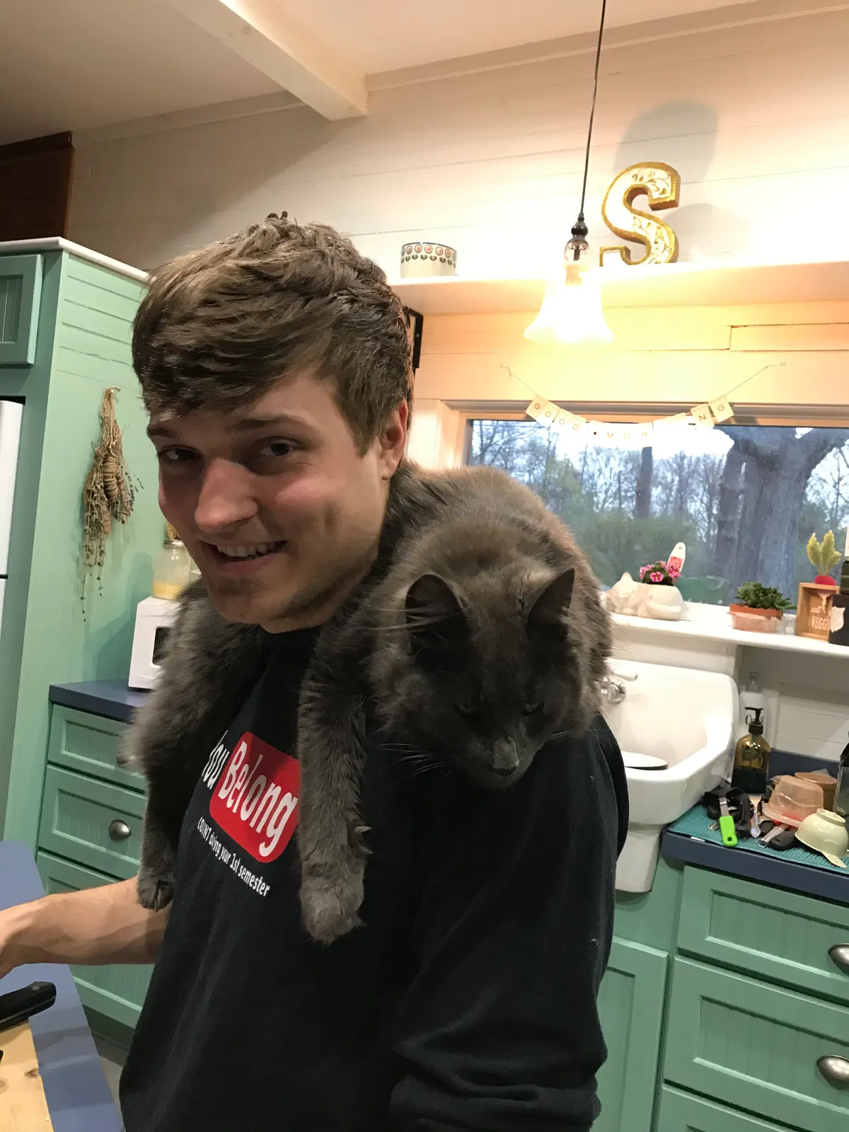 Lost cat in Bloomfield, NY, 14469