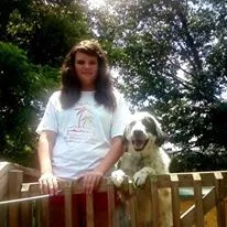 Lost dog in Bristol, TN, 37620