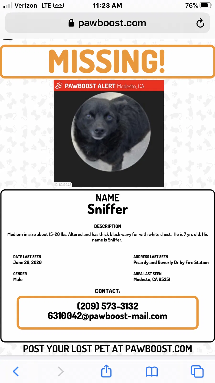 Lost dog in Modesto, CA, 95351