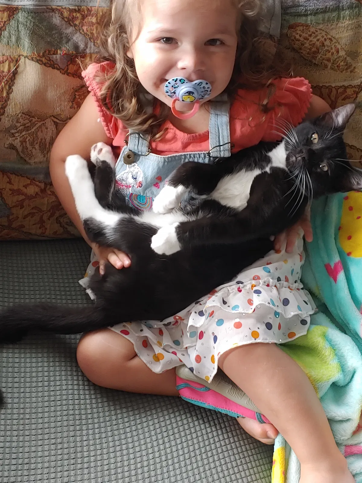 Lost cat in Savannah, GA, 31407