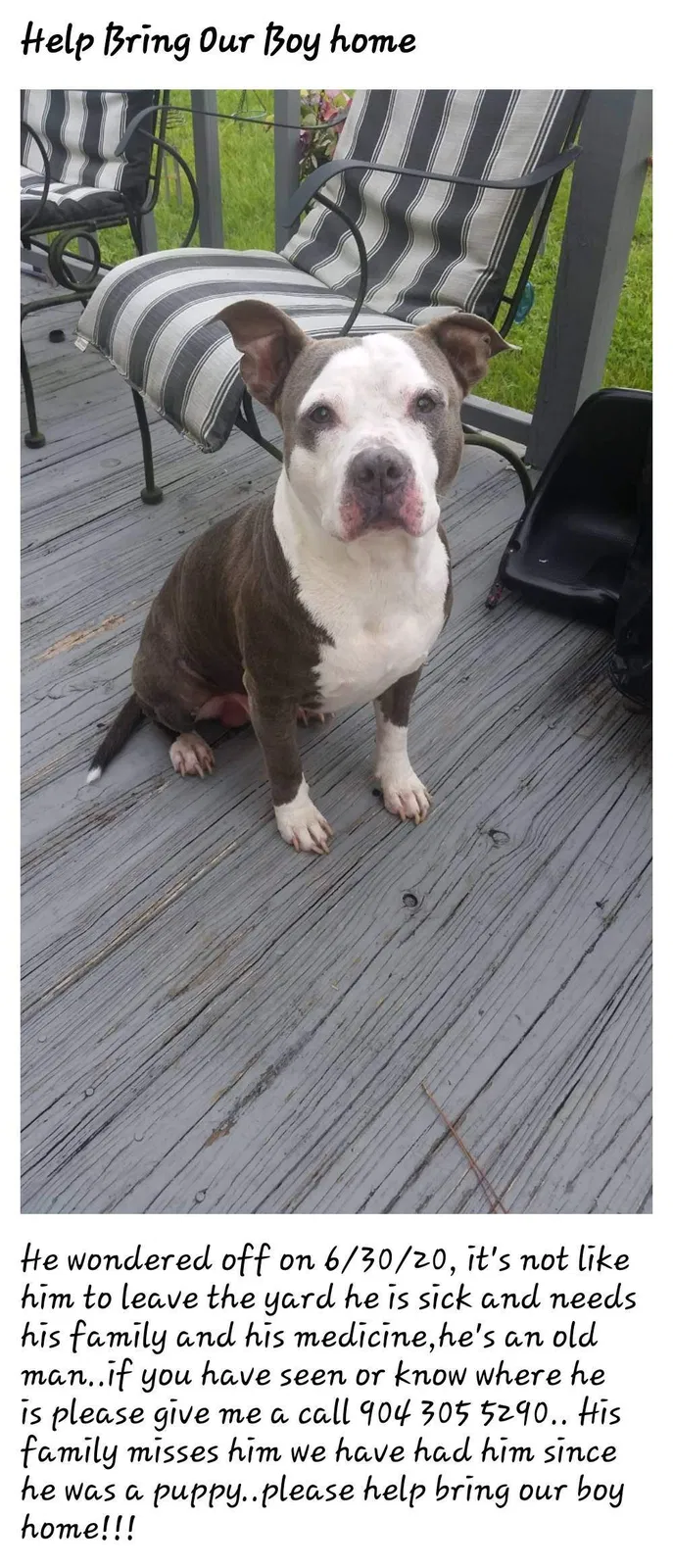 Lost dog in Jacksonville, FL, 32219