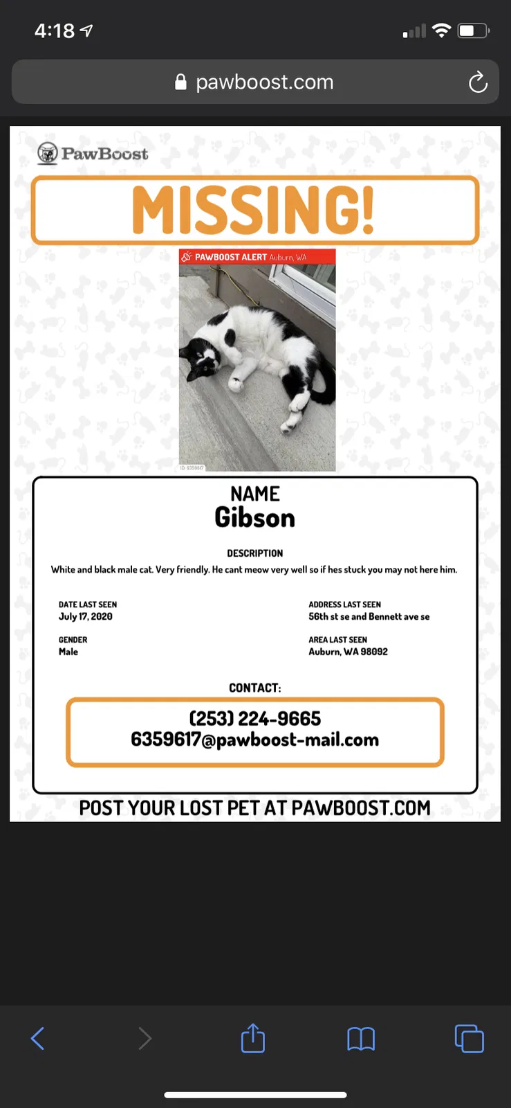 Lost cat in Auburn, WA, 98092