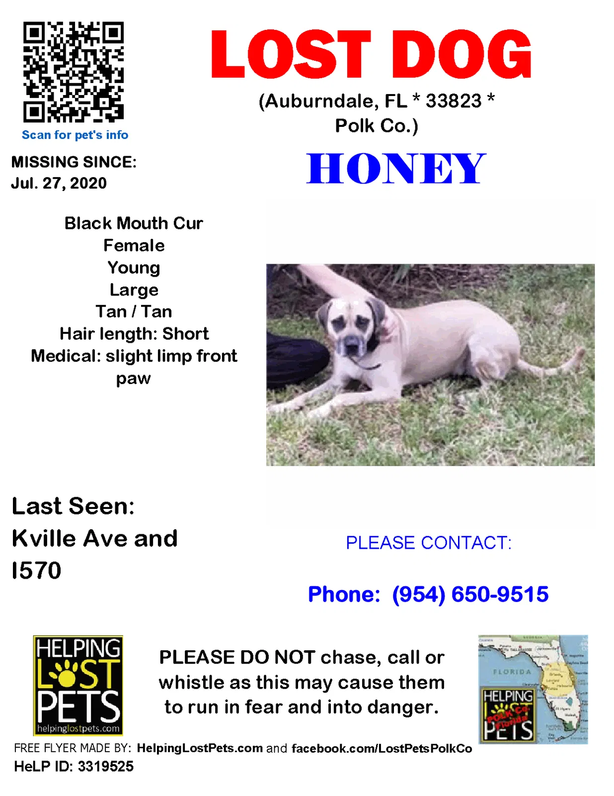 Lost dog in Auburndale, FL, 33823
