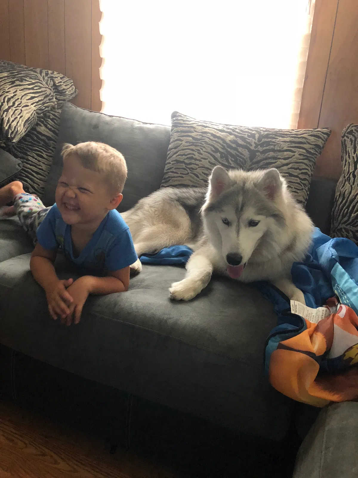 Lost dog in Dallas, NC, 28034