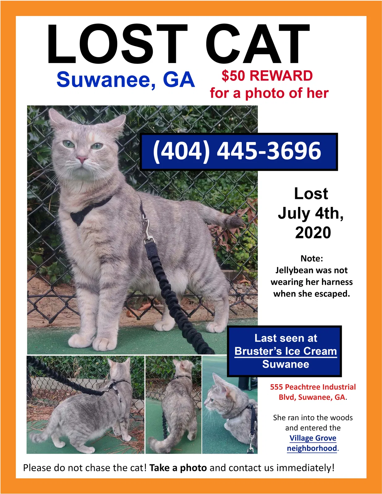 Lost cat in Suwanee, GA, 30024