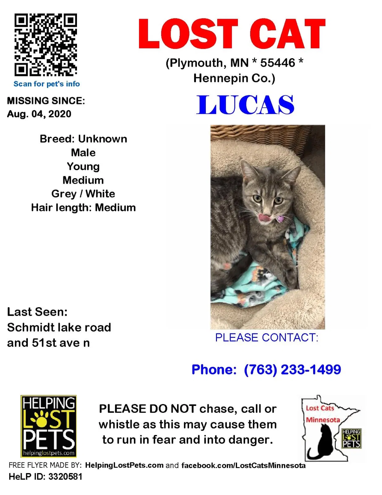 Lost cat in Minneapolis, MN, 55446