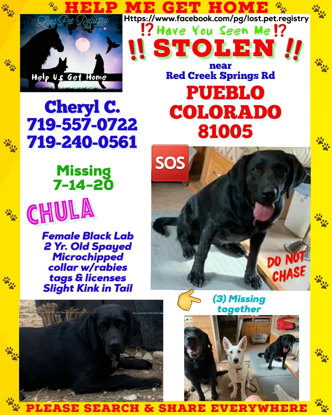 Lost dog in Pueblo, CO, 81005